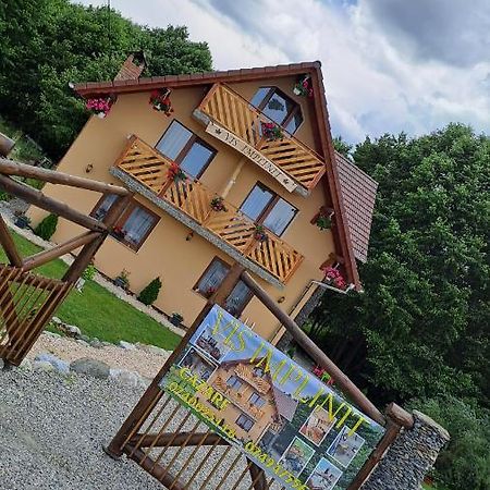 Vis Implinit Hotel Cîrţişoara Exterior foto
