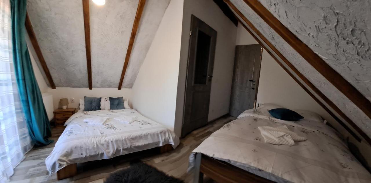 Vis Implinit Hotel Cîrţişoara Exterior foto