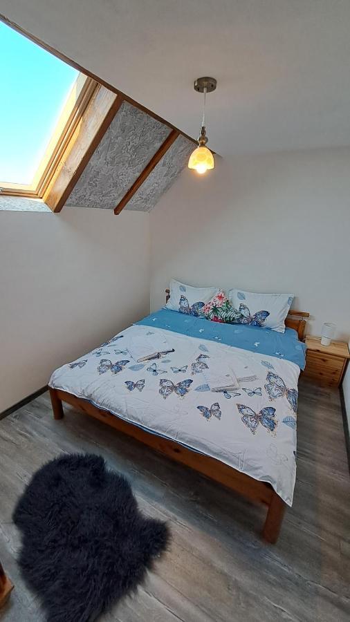 Vis Implinit Hotel Cîrţişoara Exterior foto