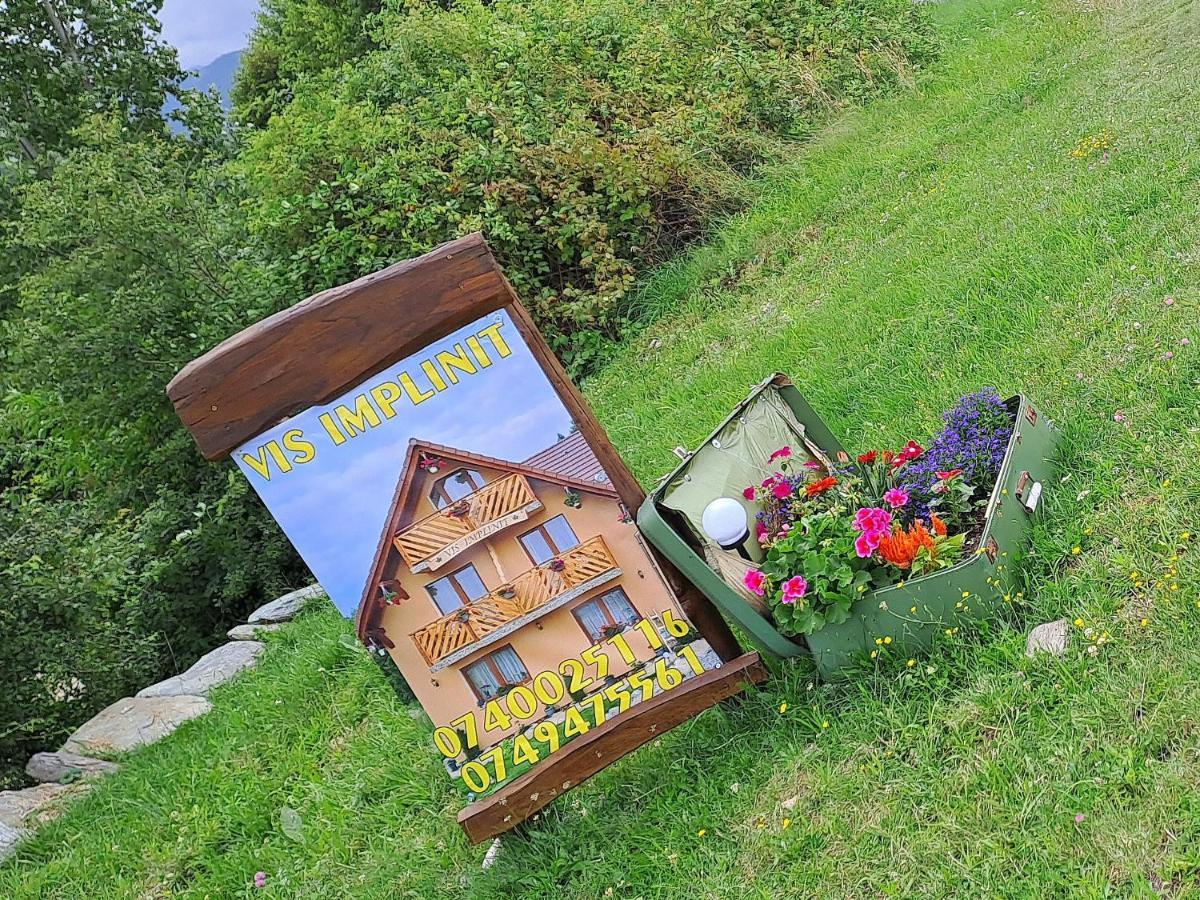 Vis Implinit Hotel Cîrţişoara Exterior foto