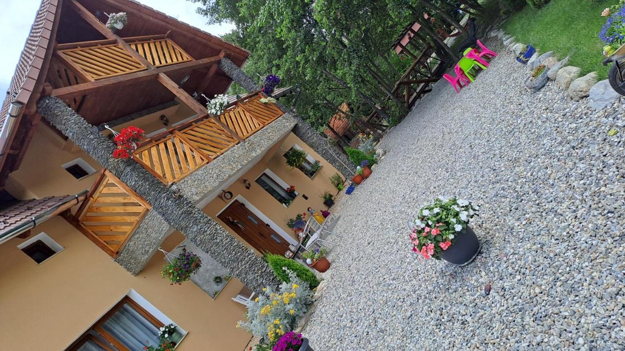 Vis Implinit Hotel Cîrţişoara Exterior foto