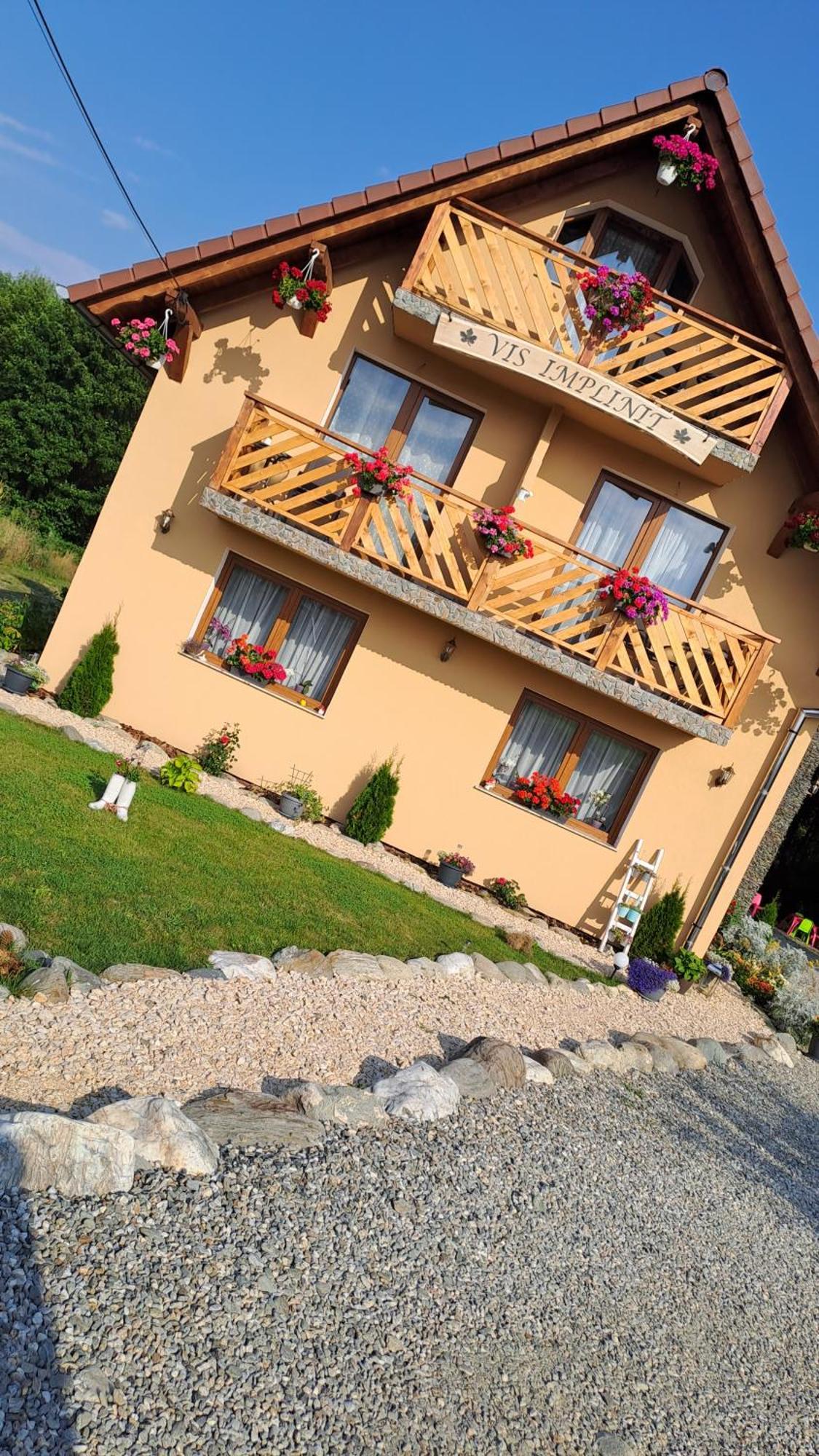 Vis Implinit Hotel Cîrţişoara Exterior foto