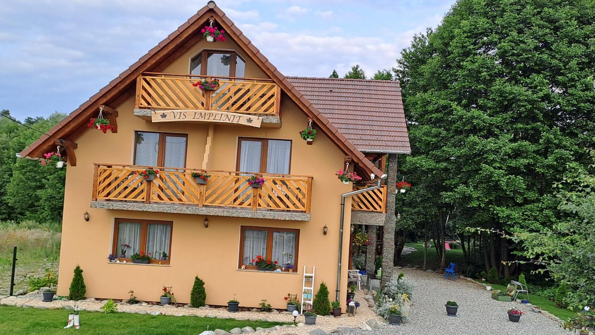Vis Implinit Hotel Cîrţişoara Exterior foto