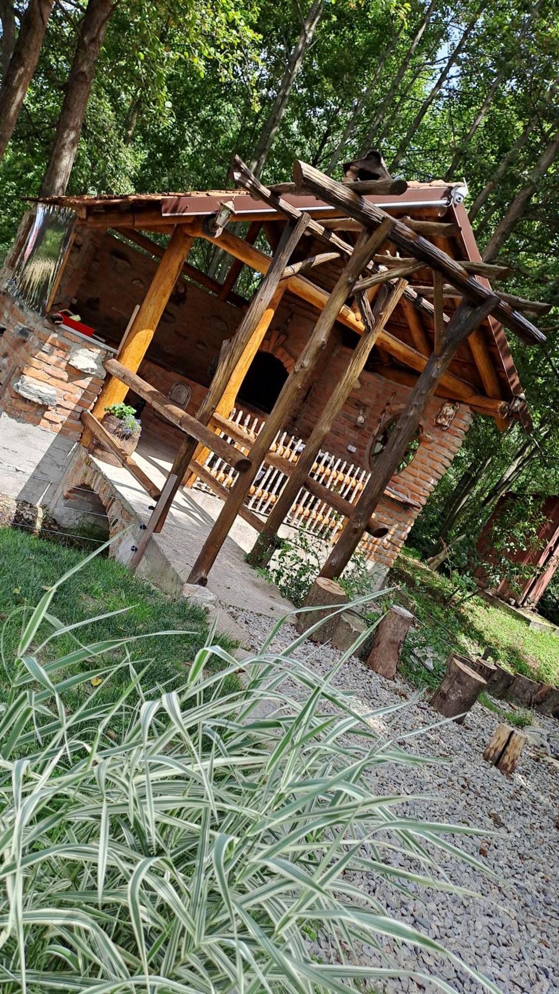 Vis Implinit Hotel Cîrţişoara Exterior foto